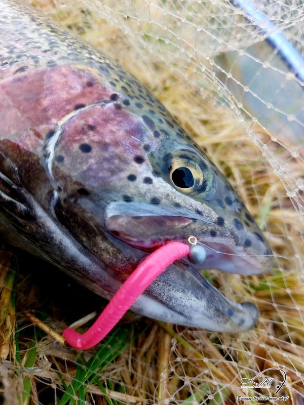 Stinky - Pink